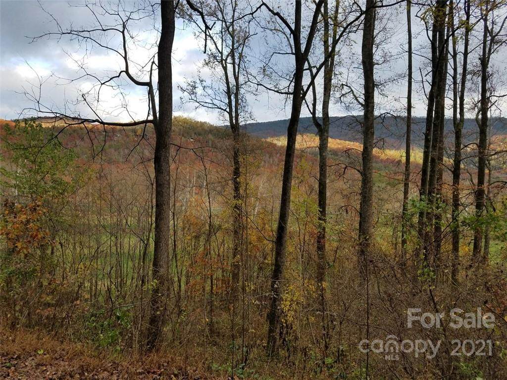 lot 17 Blue Ridge Drive - Photo 1