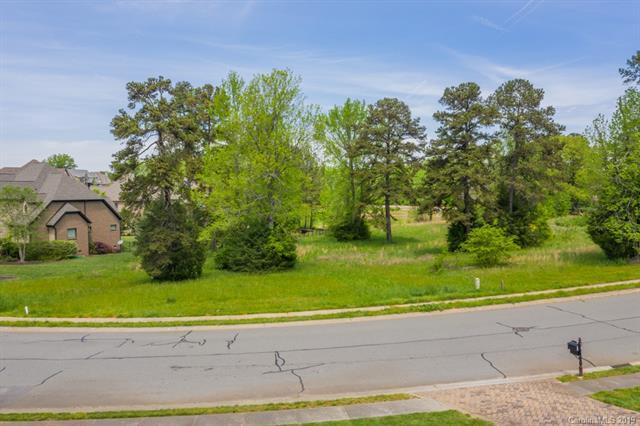 10036 Strike The Gold Lane - Photo 1