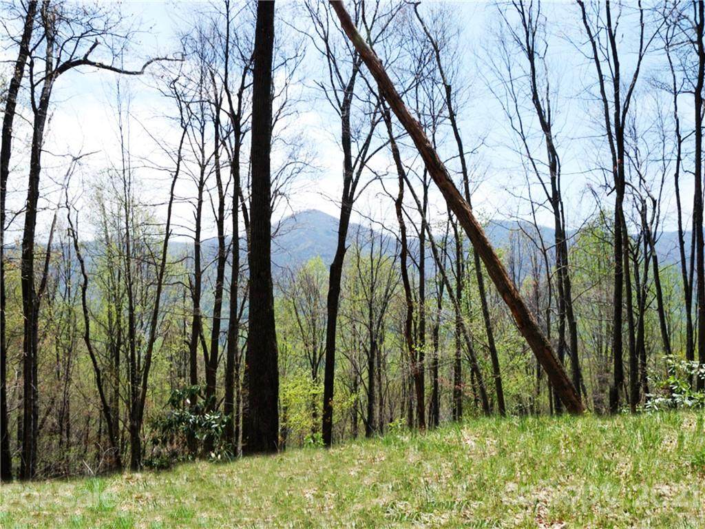 Lot 10 Big Boulder Ridge - Photo 1