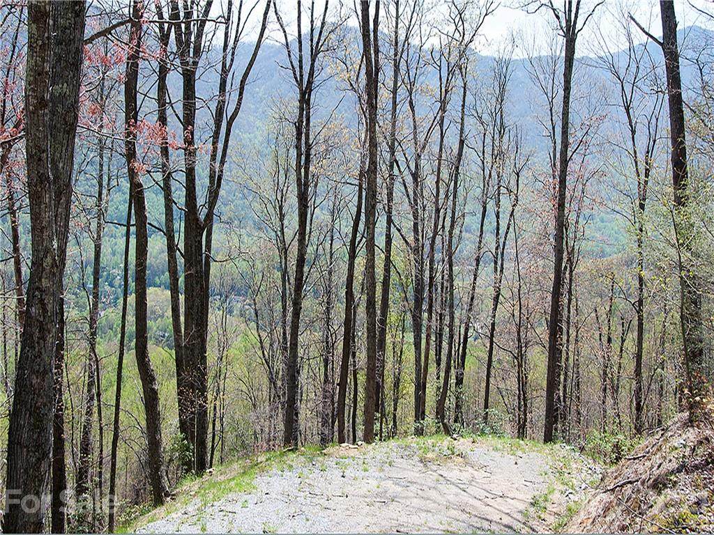 Lot 11 Big Boulder Ridge - Photo 1