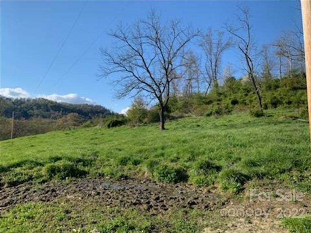 Off Frank Davis Road - Photo 1