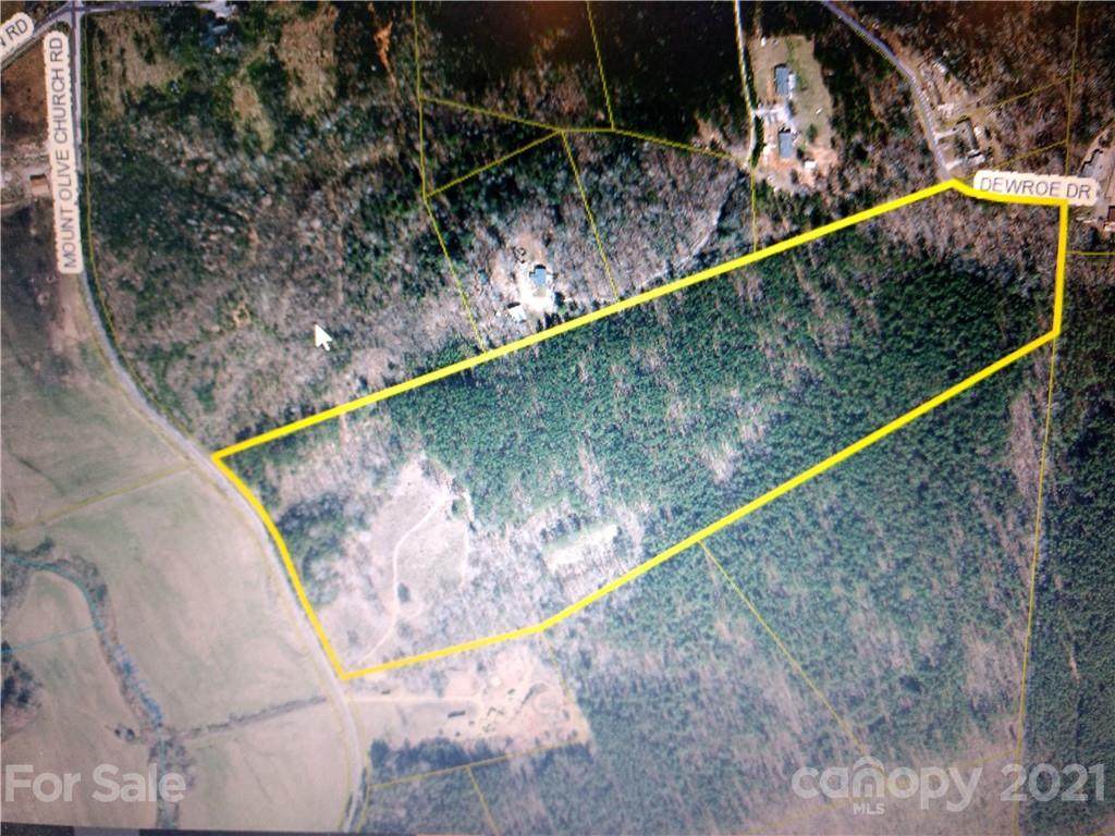 000 Mount Olive Church Road - Photo 1
