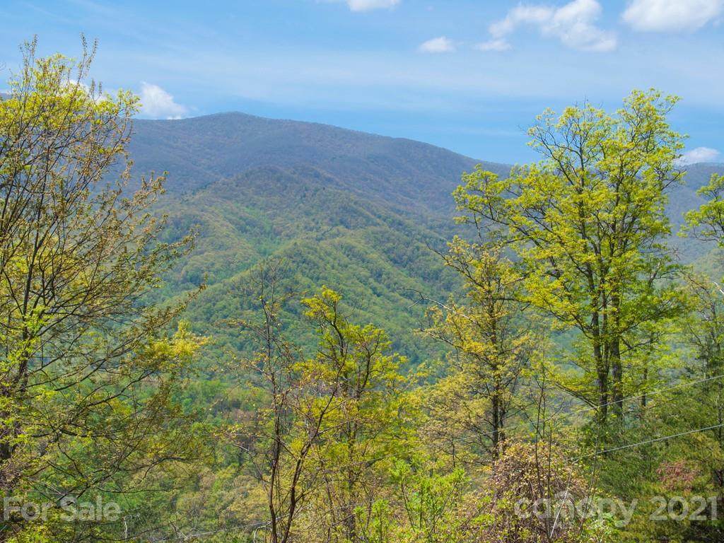 406 Lucerne Drive - Photo 1