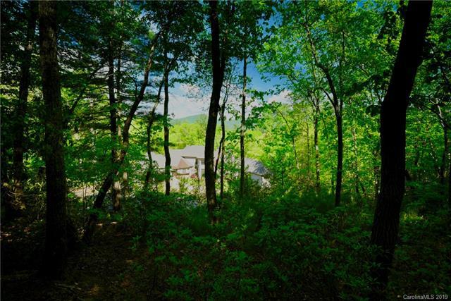 48 Dividing Ridge Trail - Photo 1