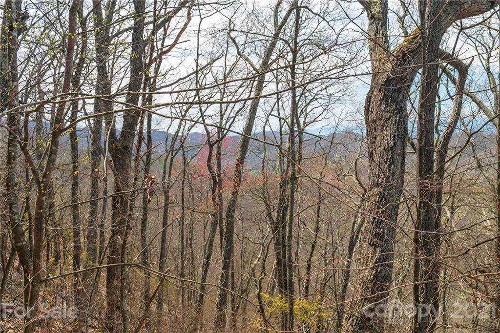Lot 84 Ridge Point View - Photo 1