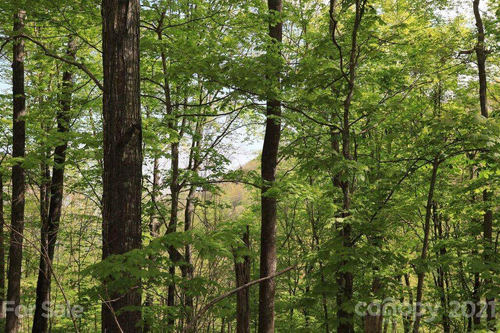Lot 156 Rocky Knob Loop - Photo 1