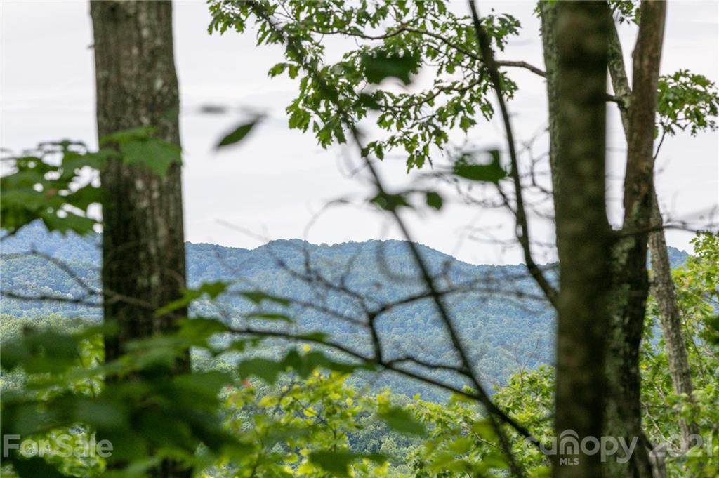 Lot 25 Austin Mountain Road - Photo 1