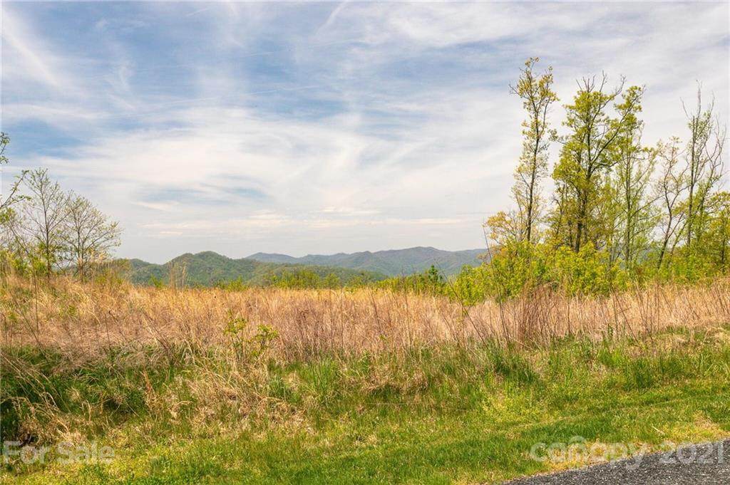 Lot 25 Andrew Banks Road - Photo 1