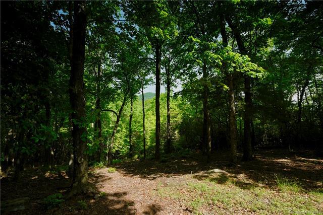 315 Stoneledge Trail - Photo 1