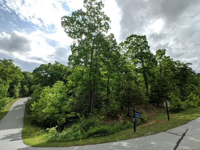 Lot #184 Catawba Falls Parkway - Photo 1