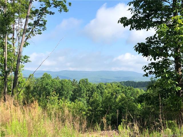 V/L #428 Lakeview Trail - Photo 1