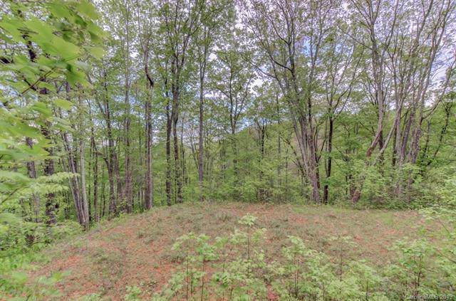 0 Running Bear Lane - Photo 1