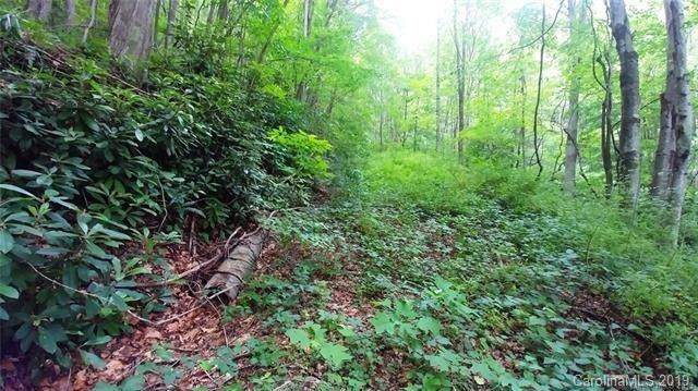 2644 Cove Creek Road - Photo 1