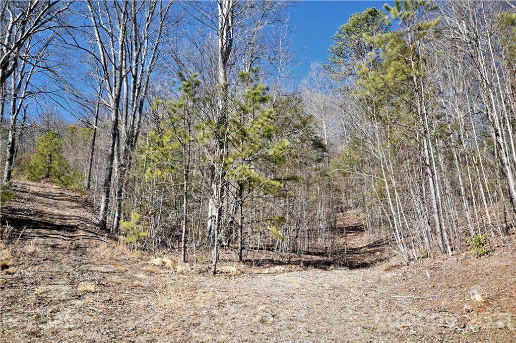 70 Tam Drive - Photo 1