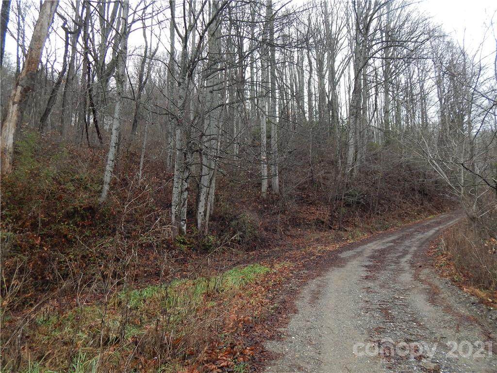0 Great Smoky Mountain Expy Highway - Photo 1