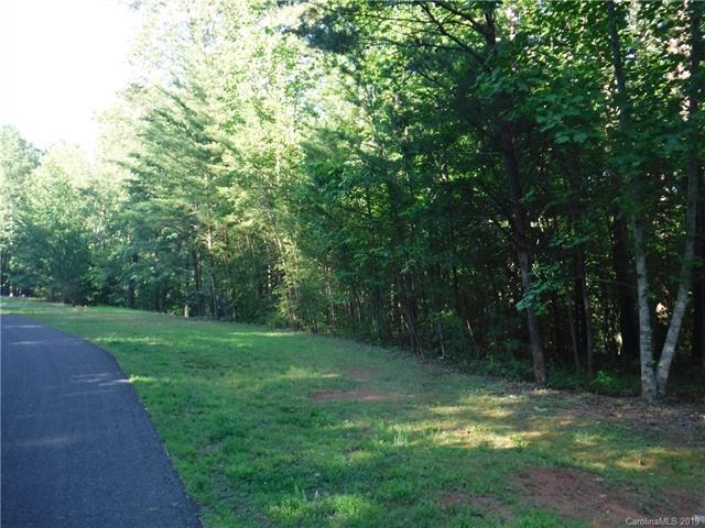 Lot 10 South Pointe Road - Photo 1
