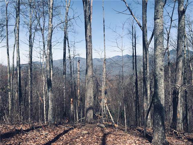 0235 Down The Hill Road - Photo 1