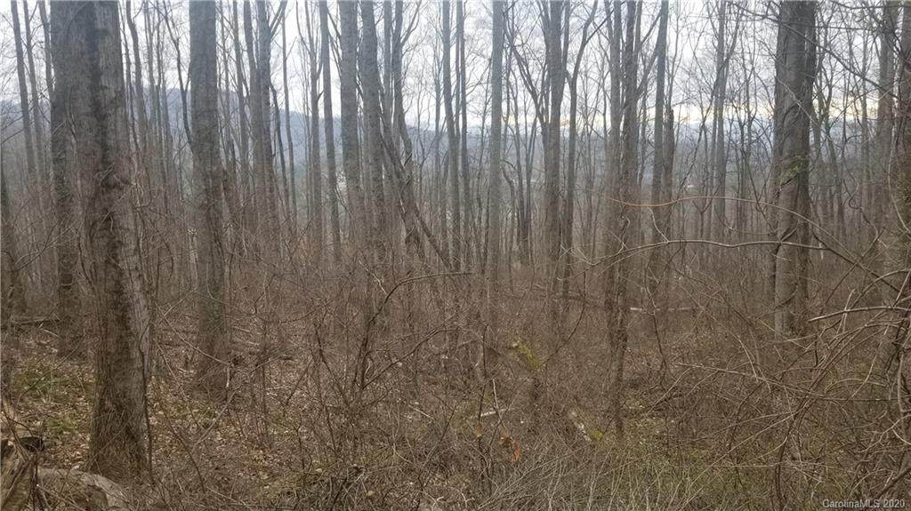 116 Winding Ridge Road - Photo 1