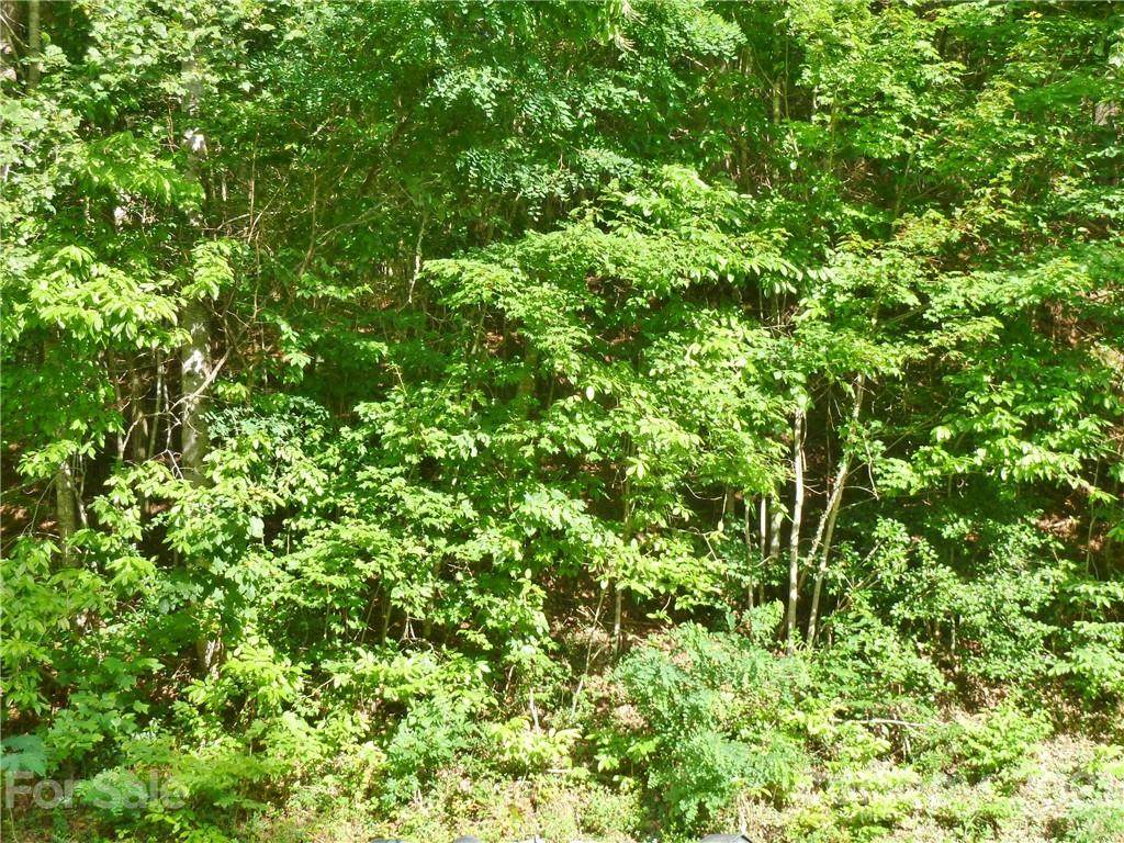 1232 Panther Creek Road - Photo 1
