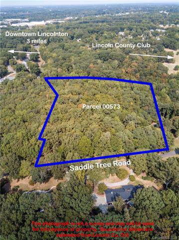 0 Saddle Tree Road - Photo 1