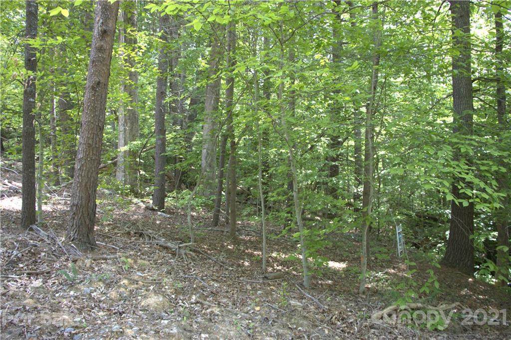 TBA Fairway View Drive - Photo 1
