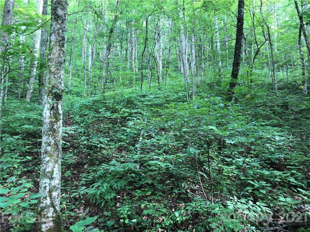 43 Cougar Mountain Road - Photo 1