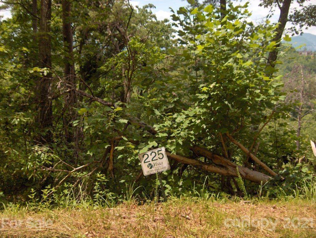 0 Rock Ledge Drive - Photo 1