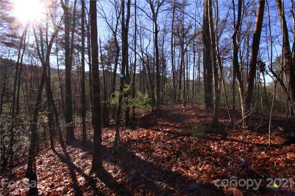 Lot 27 Oconee Bell Lane - Photo 1