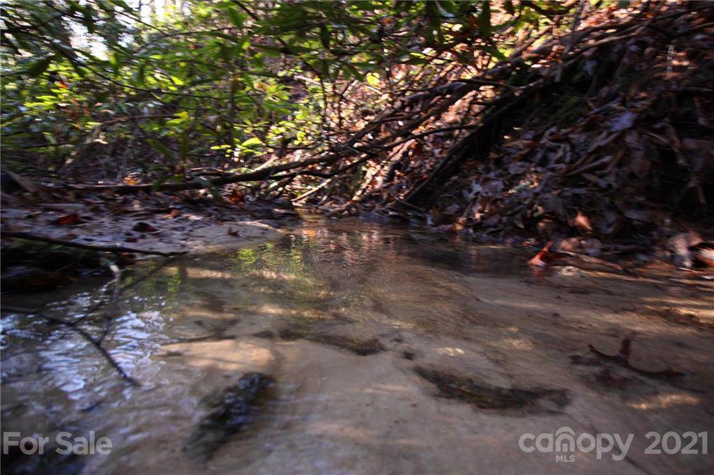 Lot 19 Gastons Bee Gum Road - Photo 1