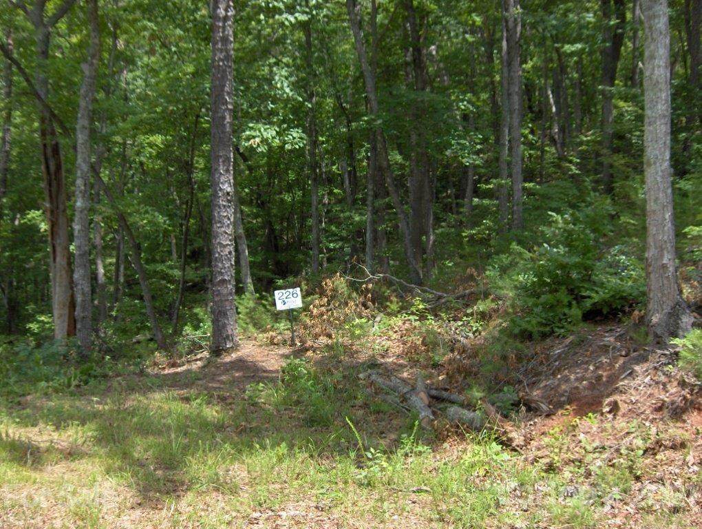 0 Rock Ledge Drive - Photo 1