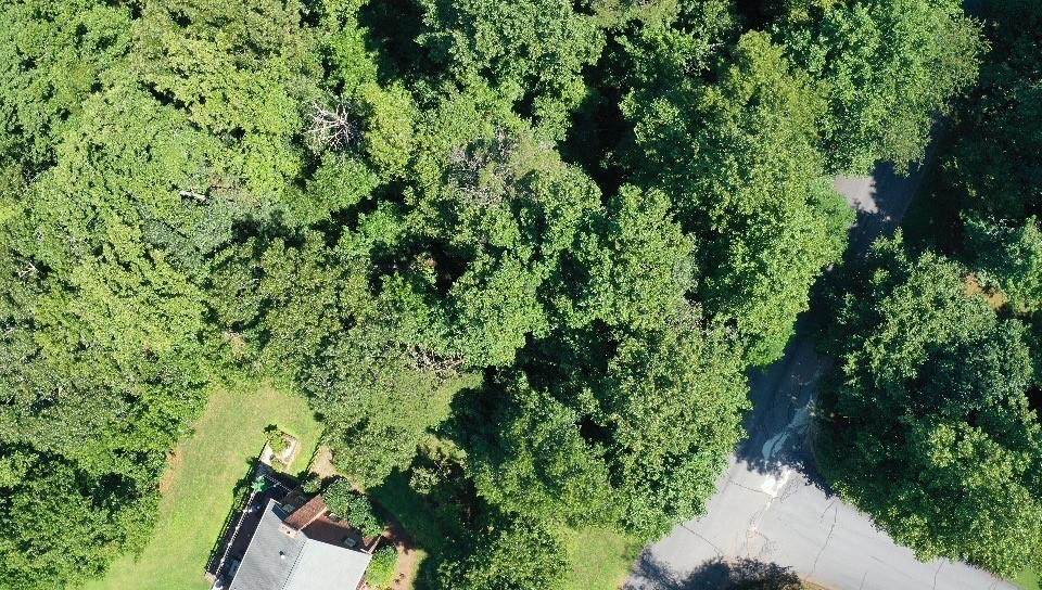 3909 Deer Run Drive - Photo 1