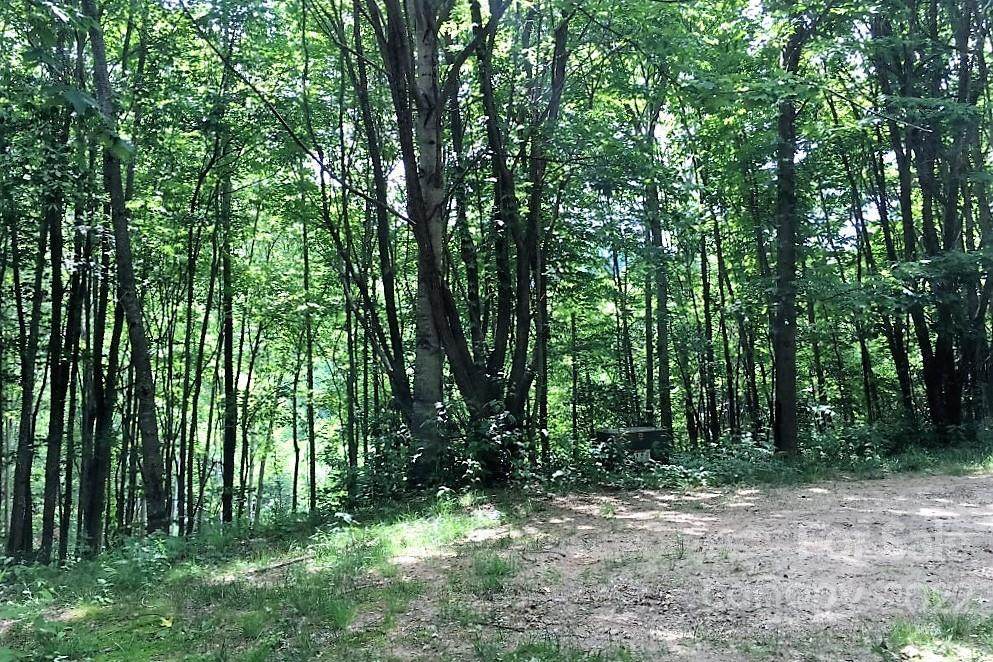 233 Down The Hill Road - Photo 1