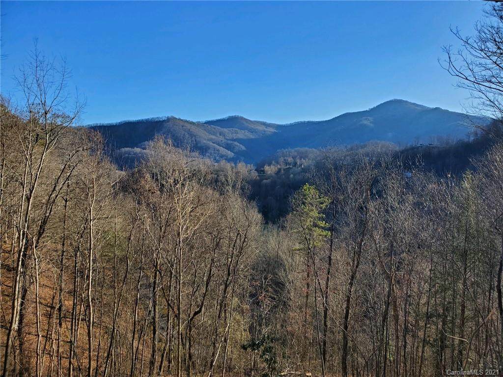14 Junebug Trail - Photo 1