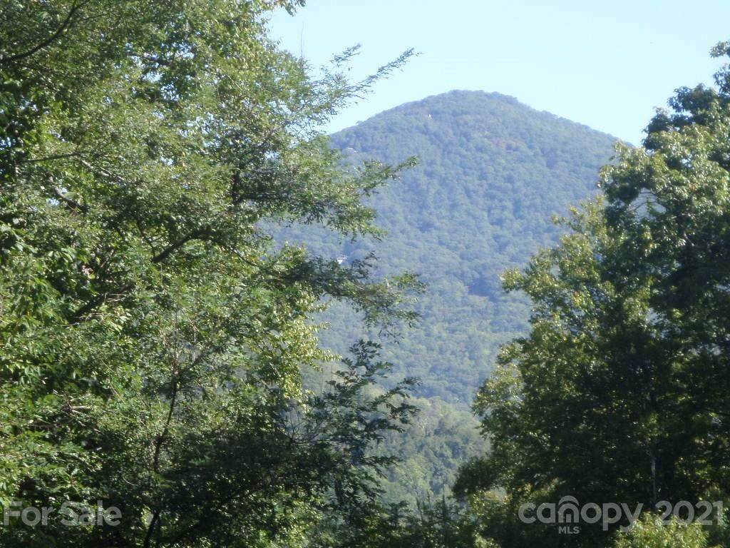 63A Jonathan Trail - Photo 1
