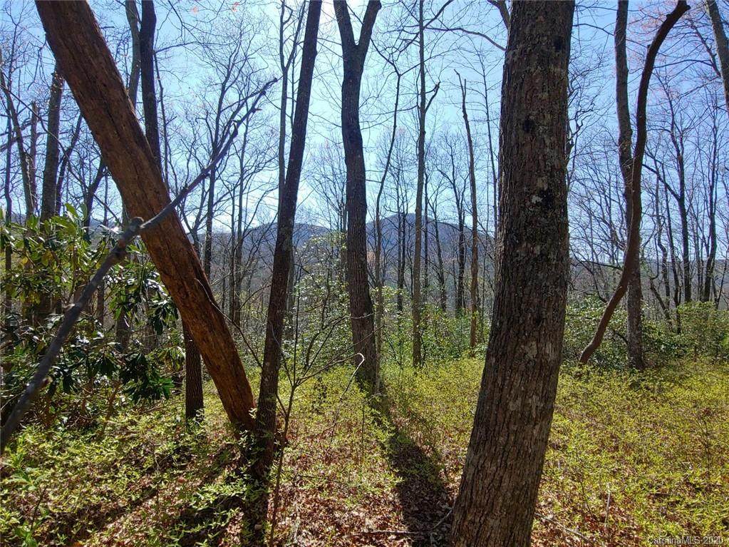 OFF Slick Fisher Road - Photo 1 OFF Slick Fisher Road - Photo 1