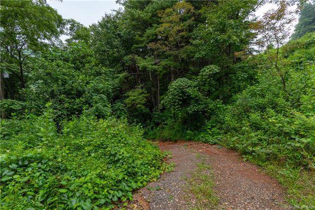 811 Starnes Cove Road - Photo 1