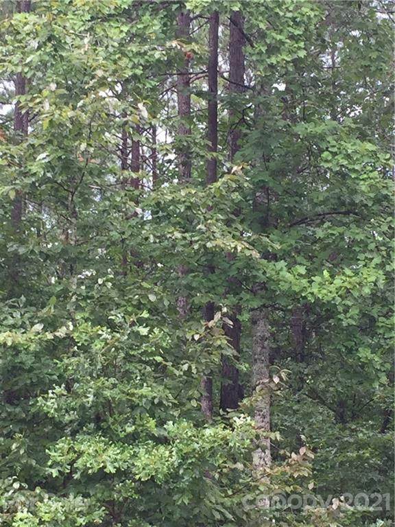 TBD Mountain Creek Road - Photo 1