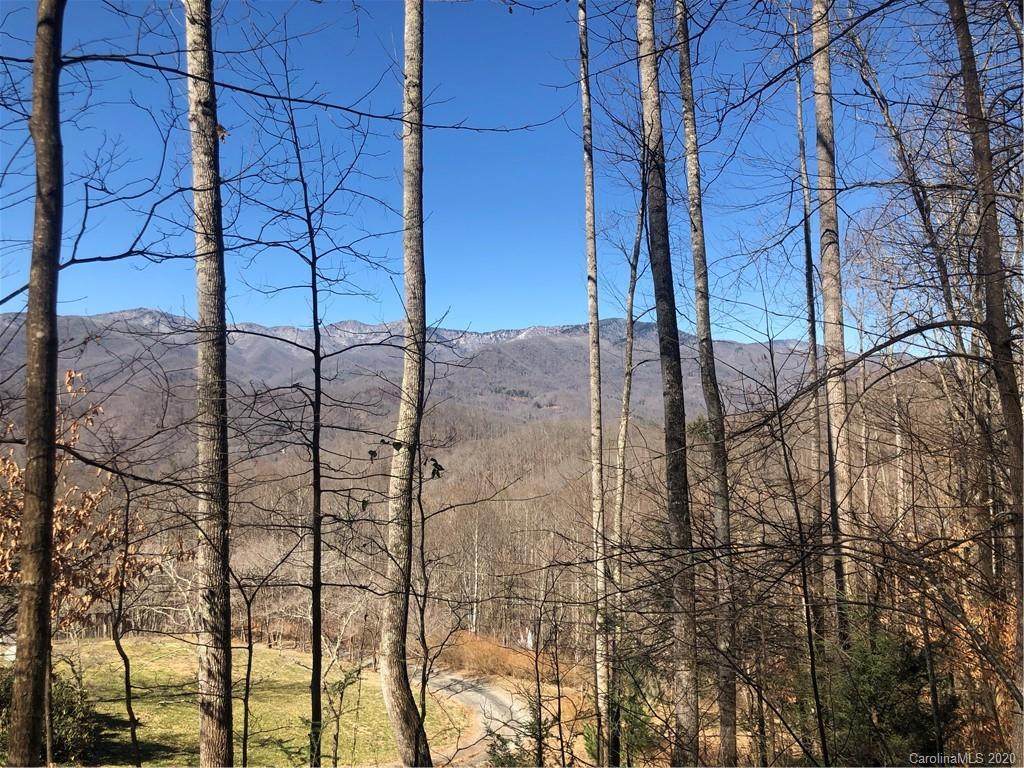 00 Lick Log Road - Photo 1