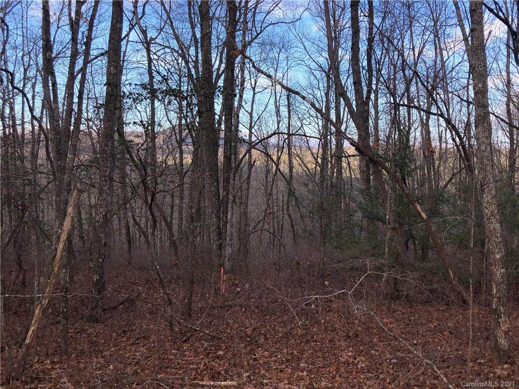 L011 Frazier Road - Photo 1