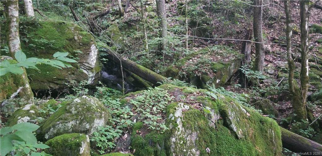 000 Mountain Brook Road - Photo 1
