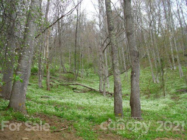 0 Lakewood Drive - Photo 1