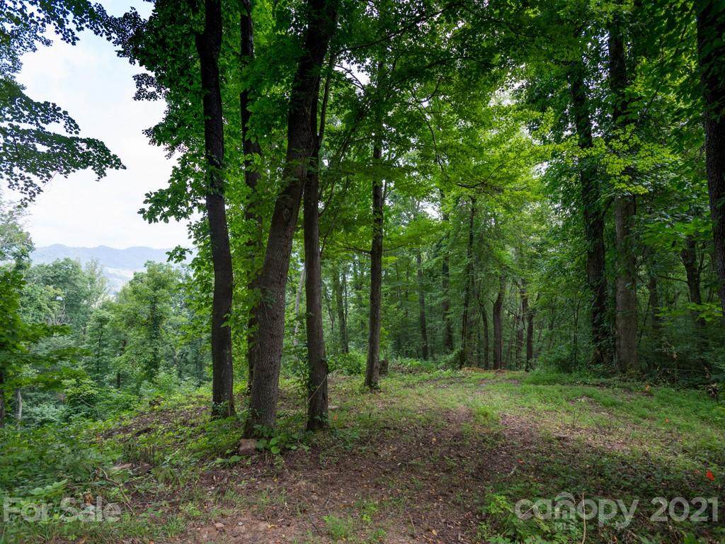 77 Traditions Way - Photo 1