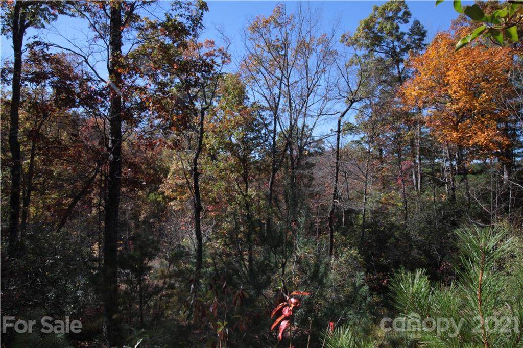 Lot 9 Kelly Mountain Road - Photo 1