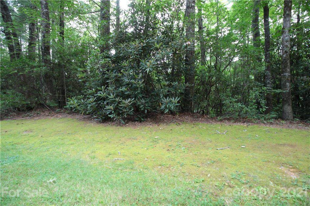 Lot 11 Upper Whitewater Road - Photo 1