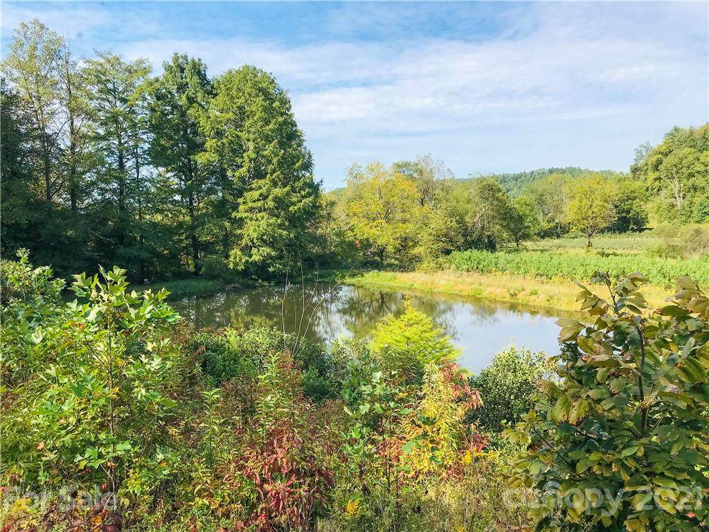 000 Roby Martin Road - Photo 1