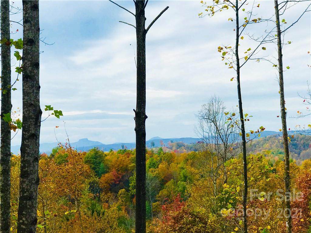 0 High Valley Way - Photo 1