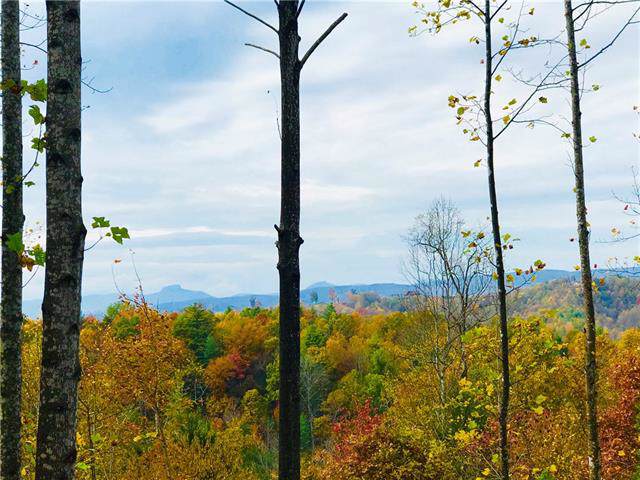 Lot 932 High Valley Way - Photo 1