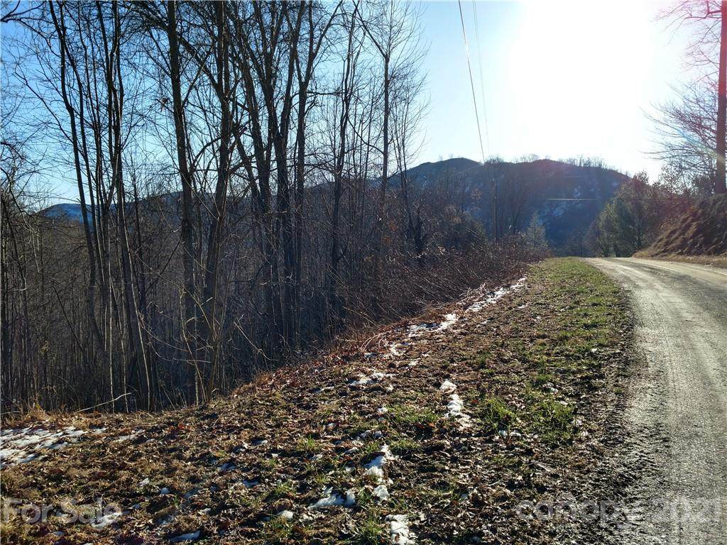 Lots B10-12 Liner Creek Road - Photo 1