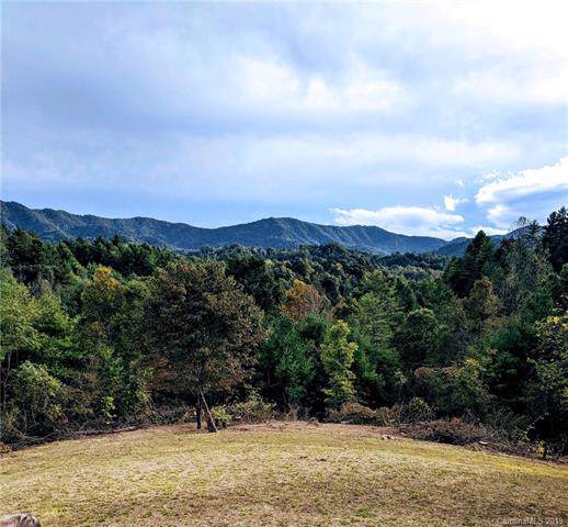 1725 Big Laurel Road - Photo 1