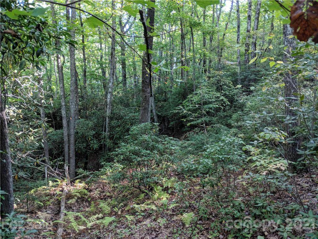 Lot 13 Rolling Ridge Trail - Photo 1